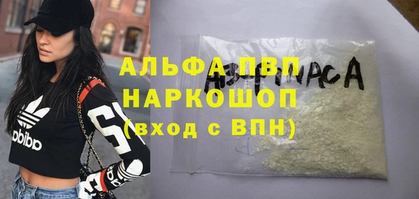 индика Богданович