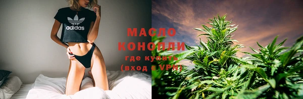 индика Богданович