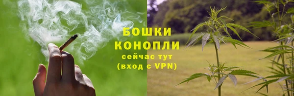 прущая мука Богородицк