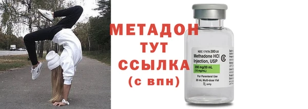 индика Богданович