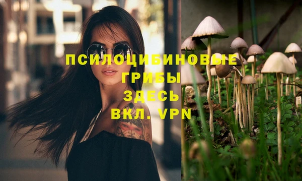 индика Богданович
