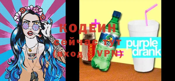 индика Богданович