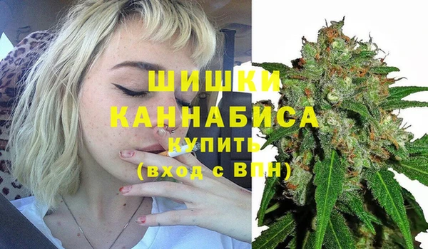 прущая мука Богородицк