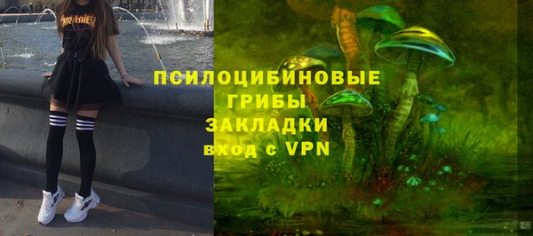 индика Богданович