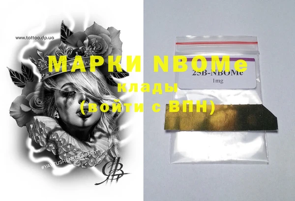 индика Богданович
