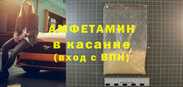 индика Богданович