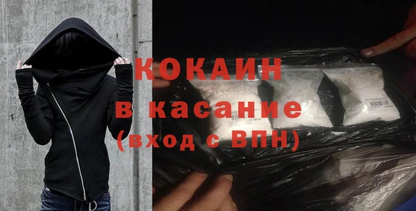 индика Богданович