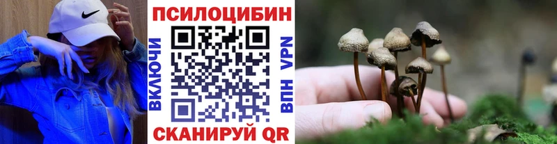 Галлюциногенные грибы прущие грибы  Купить где  Семикаракорск 